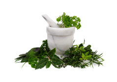 naturopathy