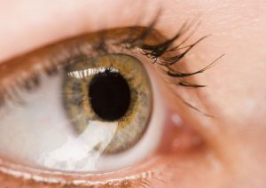 You Deserve to Have Beautiful Eyes to See and Be Seen in Jacksonville FL